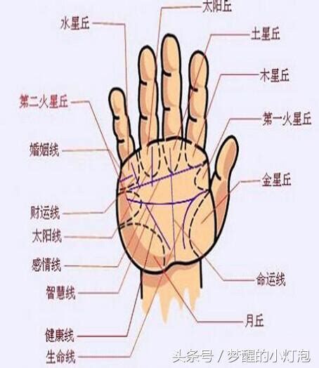 小指下方直紋|最全最罕見的手相掌紋圖解！